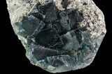 Cubic, Blue-Green Fluorite Crystals on Quartz - China #112417-2